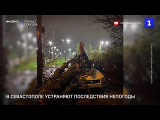 В Севастополе устраняют последствия непогоды