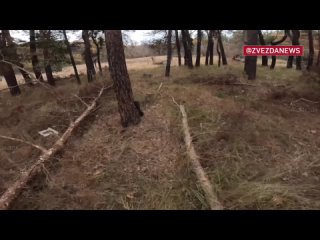 Спецназовцы зачистили позиции украинских боевиков на Сватово-Кременском направлении