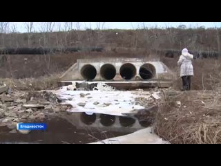 “Мышьяковый“ ручей грозит разорением Приморскому экологическому оператору - решение суда