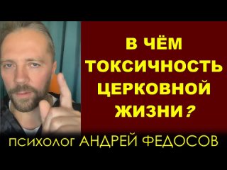 В ЧЁМ ТОКСИЧНОСТЬ ЦЕРКОВНОЙ ЖИЗНИ ( Андрей Федосов) (Киберпоп)  (Православие)