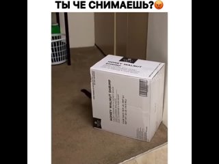 来自Приколы по-соседски的视频