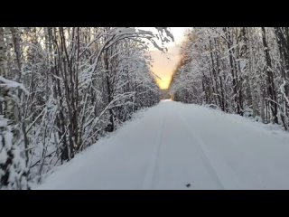 Поездка по зимней дороги.