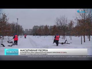 В Пулковском парке дворники расчищают территорию от снега
