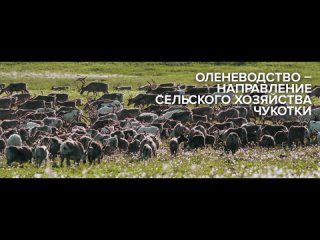Чукотский автономный округ   - видеопрезентация для Выставки “Россия“