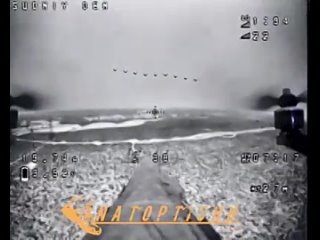 Дроноводы Западной группировки войск отправили FPV-дрон в очередной внедорожник противника на Купянском направлении