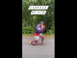 Gazelle Punch (удар газели) - отработка удара.