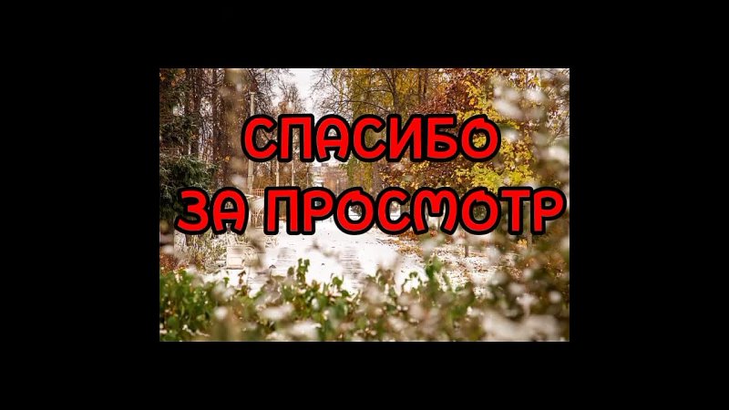 Видео от МДОАУ №22 г. Оренбурга
