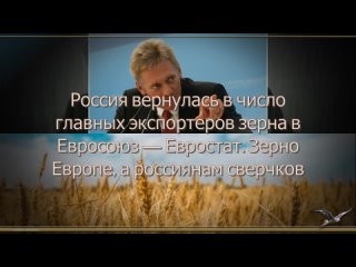 Россия вернулась в число главных экспортеров зерна в Евросоюз — Евростат. Зерно Европе, а россиянам сверчков