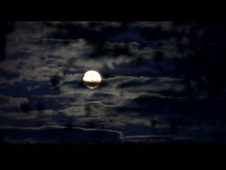 Луна, полнолуние 8 ноября 2022 г., ‏17:20:10 восход луны