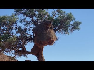 Little Kulala Camp by Wilderness Safaris   5-star luxury in Namibias desert (full tour)