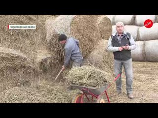 В Запорожской области действуют меры поддержки аграриев