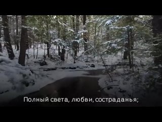 Пётр и Виолетта Бальжик - “ЛЮБИМЫЙ МОЙ РАССКАЗ“ |Новая Рождественская песня| (Премьера)