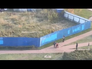 В Приморском районе бойцовые собаки напали на девушку