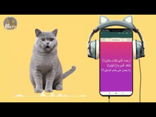 126. Animation Cute Cat Recite Juz Amma AL MAUUN