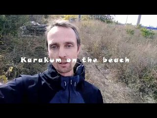 Karakum on the beach