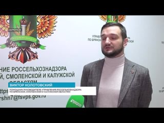 Предновогоднее настроение или как выбрать красную икру