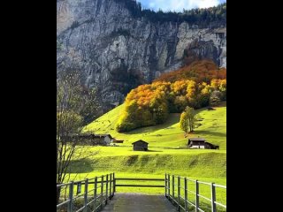 Осенняя Швейцария неповторима 😍💛🏔🔥