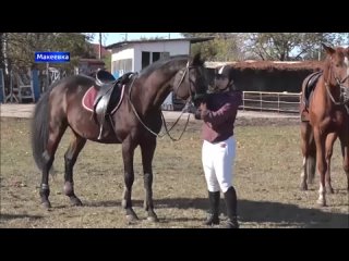 Челябинская область передала двух пони спортсменам школы Олимпийского резерва в Макеевке