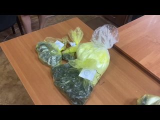 Полиция Оренбурга задержала двух подозреваемых в попытке сбыта наркотиков