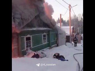 Дом для передержки собак и кошек горит под Екатеринбургом
