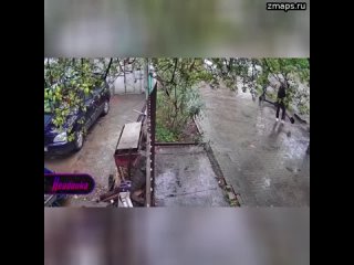 Панки в Сочи: очень «веселая» парочка из-за просьбы вести себя потише напала на забор местного жител
