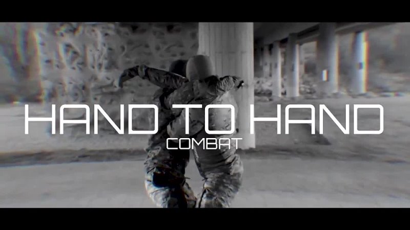 Hand to Hand Combat hand to hand combat