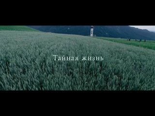 Тайная жизнь — Русский трейлер (2020)