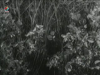 Скандал в Клошмерле (Франция1948) комедия В ролях: Поль Мёрисс, Одетт Жойе