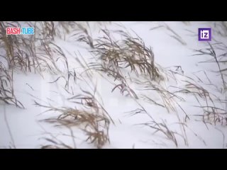 🇷🇺 Нешуточное похолодание настигло Магаданскую область