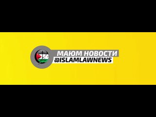 ➡️ Усама Хамдан: «Отключение связи с сектором Газа — это попытка скрыть преступления оккупации без какого-либо надзора или ответ