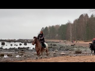 Видео от Верхом по морю. Конные прогулки Балтийское море.