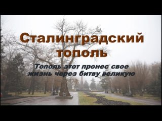 Неймышева Элеонора, “Тополь Победы“, ВТЖТ - филиал РГУПС