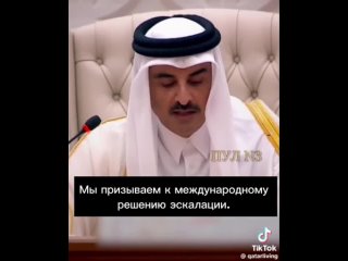 Эмир Катара Тамим бен Хамад Аль Тани: Хватит, значит, хватит. Недопустимо давать Израилю безоговорочный зеленый свет и неогранич