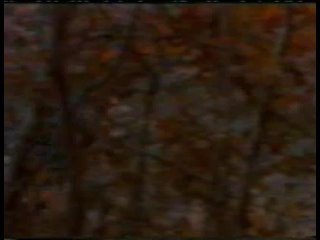 КРАСНАЯ РАЗВЯЗКА (1988) - триллер. Жанно Шварц  720p