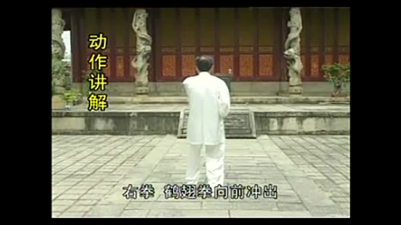 Wing Chun White Crane Fist Chuang Xin Zhong Fist 1