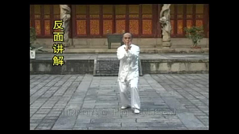 Wing Chun White Crane Fist Thousand Word Hits