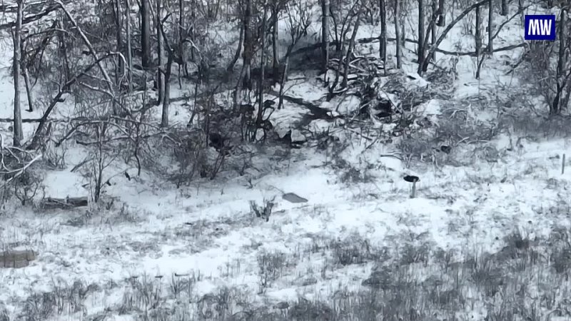 Russian paratroopers stormed another Ukrainian stronghold northwest of ...