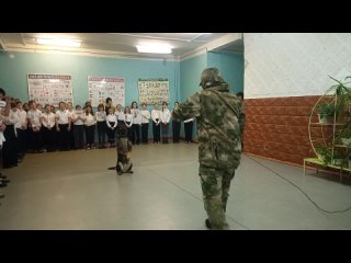 Выступления военного кинолога с собакой В/ч 3424 г.Дзержинска