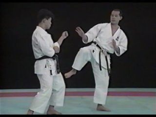 Seiji Nishimura Best Karate Kick Techniques