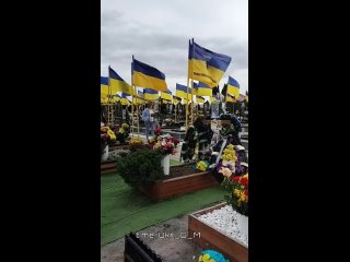 🇺🇦☠️С каждым днем по всей Украине увеличиваются массовые захоронения военнослужащих ВСУ

Такое впечатление, что Зеленский успешн