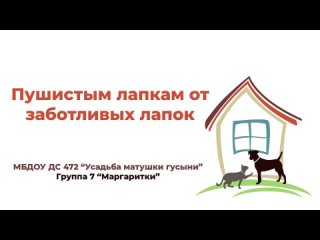 пушистым лапкам от заботливых лапок