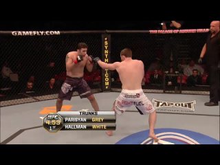 Dennis Hallman vs. Karo Parisyan UFC 123 - 20 ноября 2010