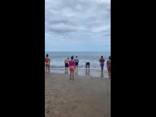 Рыбы прыгающие по пляжу на удивление людей! Вы когда-нибудь видели бег кефали?