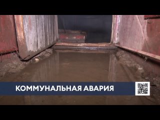 В одном из домов Нижнекамска после порыва трубы появилась плесень и неприятный запах