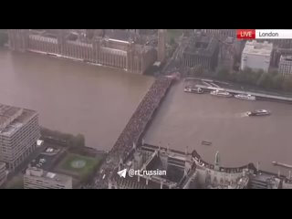 Тысячи человек в Лондоне на митинге в поддержку палестинцев