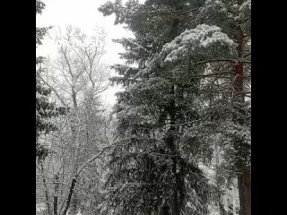 В Миллеровском, Шолоховском и Чертковском районах выпал снег