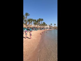 ЕГИПЕТ 🌊🪸

Из Екатеринбурга

🏖️ ОТЕЛИ В БУХТАХ, ❎БЕЗ ВЕТРА

👇🏾СТОИМОСТЬ ЗА 2-Х ЧЕЛОВЕК

16.