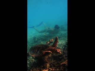 Валентина Иванова -- Изнанка Шоу-Бизнеса