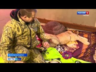 🦁 Львёнок Симба снова может ходить: в крымском сафари-парке произошло новогоднее чудо