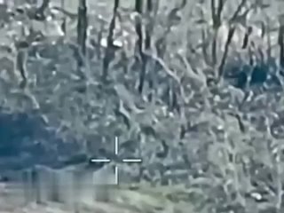 El cazador ruso permitió que el ametrallador ucraniano se acercara a tres metros y lo eliminó tranquilamente, saliendo de detrás